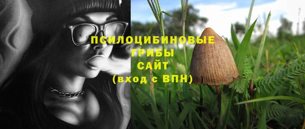 индика Иннополис
