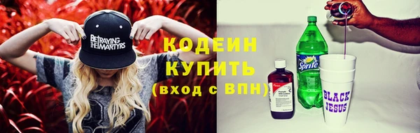 индика Иннополис