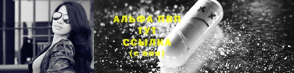 СК Инсар