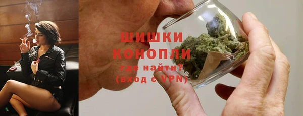 индика Иннополис
