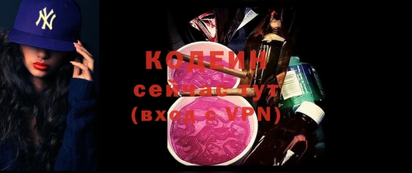 индика Иннополис