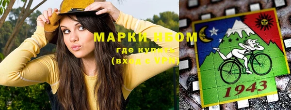 индика Иннополис