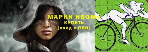 индика Иннополис