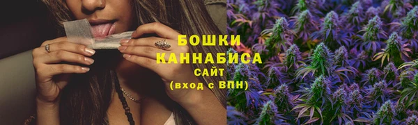 СК Инсар
