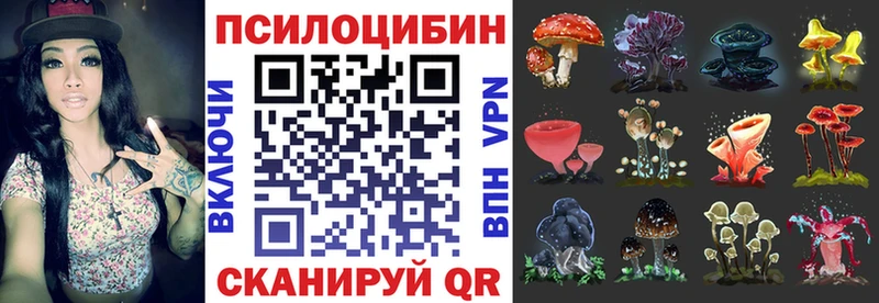 Купить закладки  Киржач  Псилоцибиновые грибы прущие грибы 